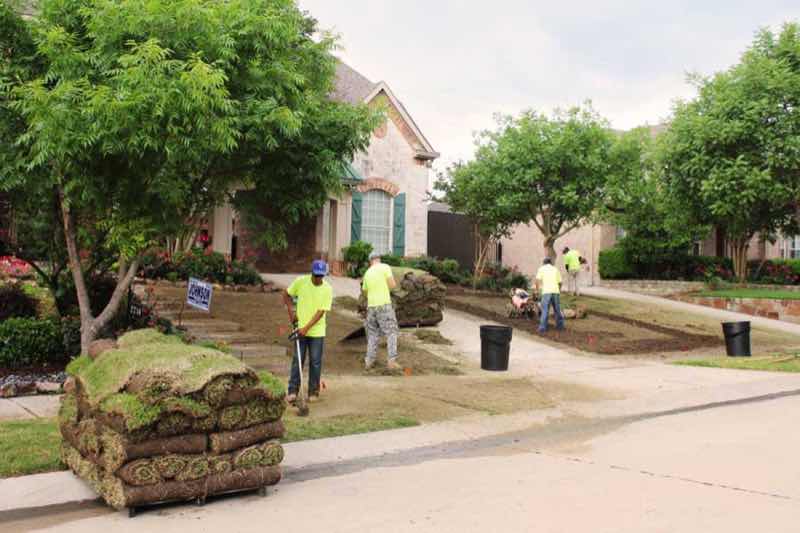 Sod Installation in Garland