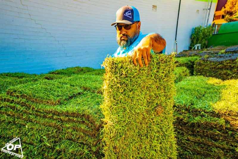 {SERVICE_NAME} project in Garland