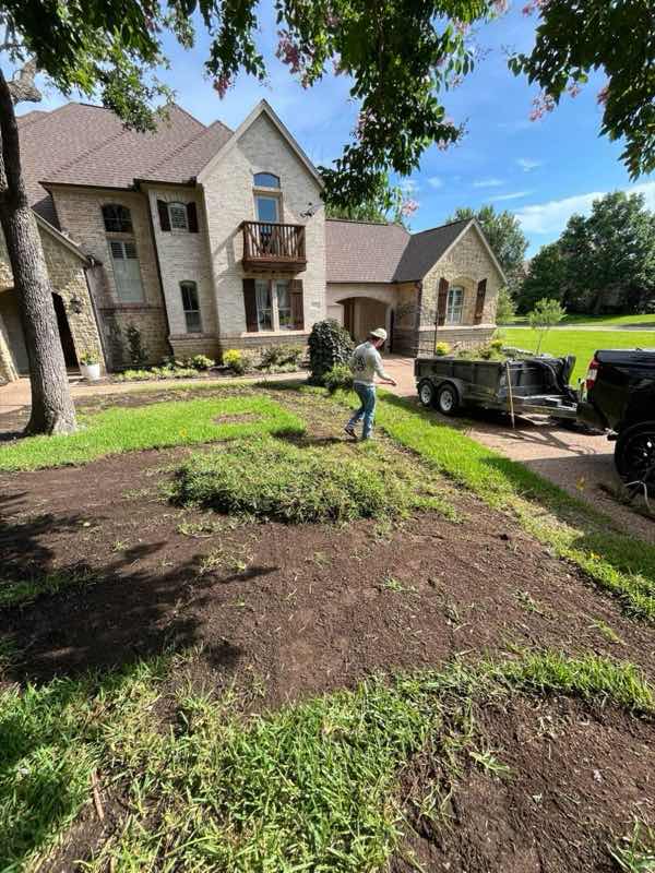 Lawn Replacement near Sunnyvale